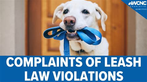 pet lease laws.